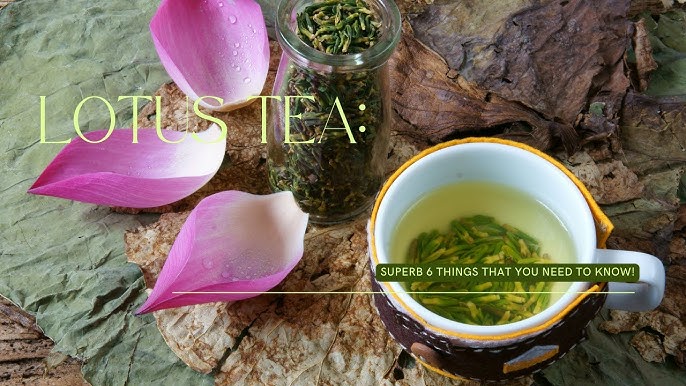 How to make blue lotus tea & its effects – we have everything you need –  T-Swing