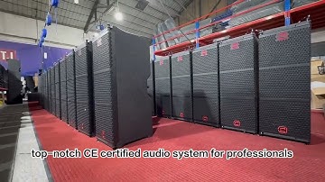 Pro 210 dual 10 inch line array sound system in Production.