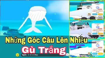 (Play Together) Góc Câu Cá Voi Lưng Gù Trắng Lên Nhiều | CÁ Play