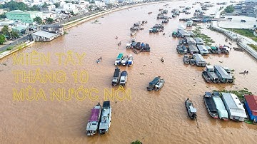 Miền Tây mùa nước nổi: Đờn ca tài tử Xứ Dừa - Chợ nổi Cái Răng - Cá Lóc bay - Vườn Cò Bằng Lăng