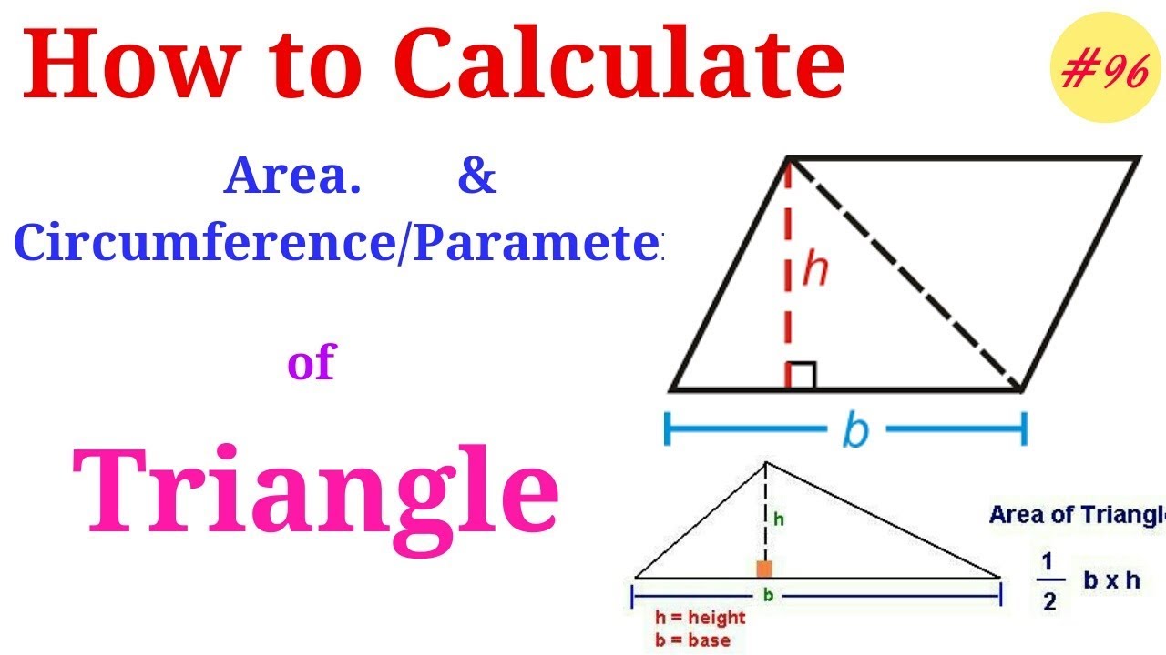 How to find Area of Triangle How to find Circumference of Triangle