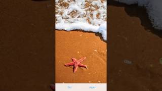 Summer Beach - Water Live Wallpaper screenshot 1