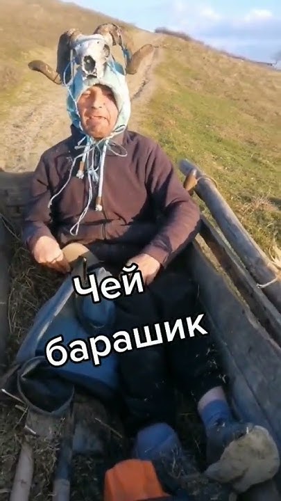 чей барашик? - YouTube