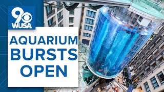 World's largest aquarium BURSTS in Berlin