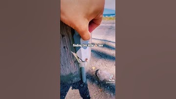 would YOU be brave enough to find this cache or would it be a DNF for you? 👀