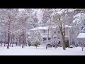 Winter Snowy Streets and Cozy Homes after Snowfall in Toronto GTA suburban Aurora 4K