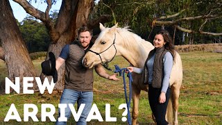 Download Lagu We Weren't Ready! | Sketchy Shipping Container Move | Risks \u0026 Rewards Of Farm Life MP3 Download Lagu We Weren't Ready! | Sketchy Shipping Container Move | Risks \u0026 Rewards Of Farm Life MP3