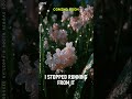 Liora – Something Calls (Reggae Soul) | From Pain to Power #liora #reggae