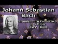 Miniature de la vidéo de la chanson Concerto D-Dur Für Fagott, 2 Violinen, Streicher Und Basso Continuo: 3. Adagio