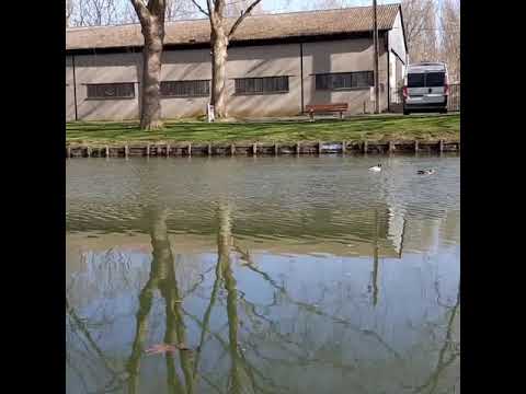 المستبدة اغنية للفنان كاظم الساهر مع مصطفى مهدي 