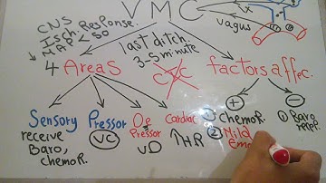 CVS new system (Vasomotor center) dr mohamed fayez