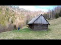 Greatgrandfathers hut in the forest nobody lived there for half a century bushcraft shelter