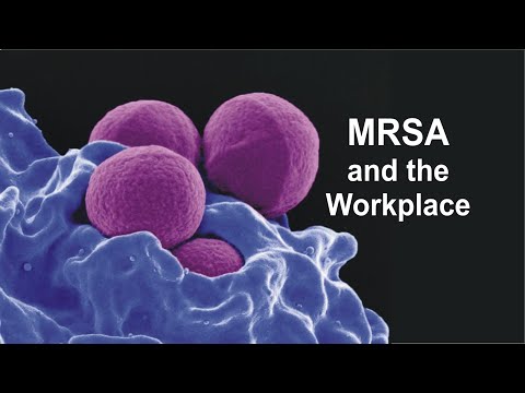 Video: Մեր MRSA- ի պաշտպանությունը ուժեղացնելը նշանակու՞մ է ավելի շատ մսի պակասություն: