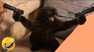 Funny Animal Videos 2022 😂 - Best Dogs And Cats Videos #2 by Animal Society 9 views 1 year ago 2 minutes, 33 seconds