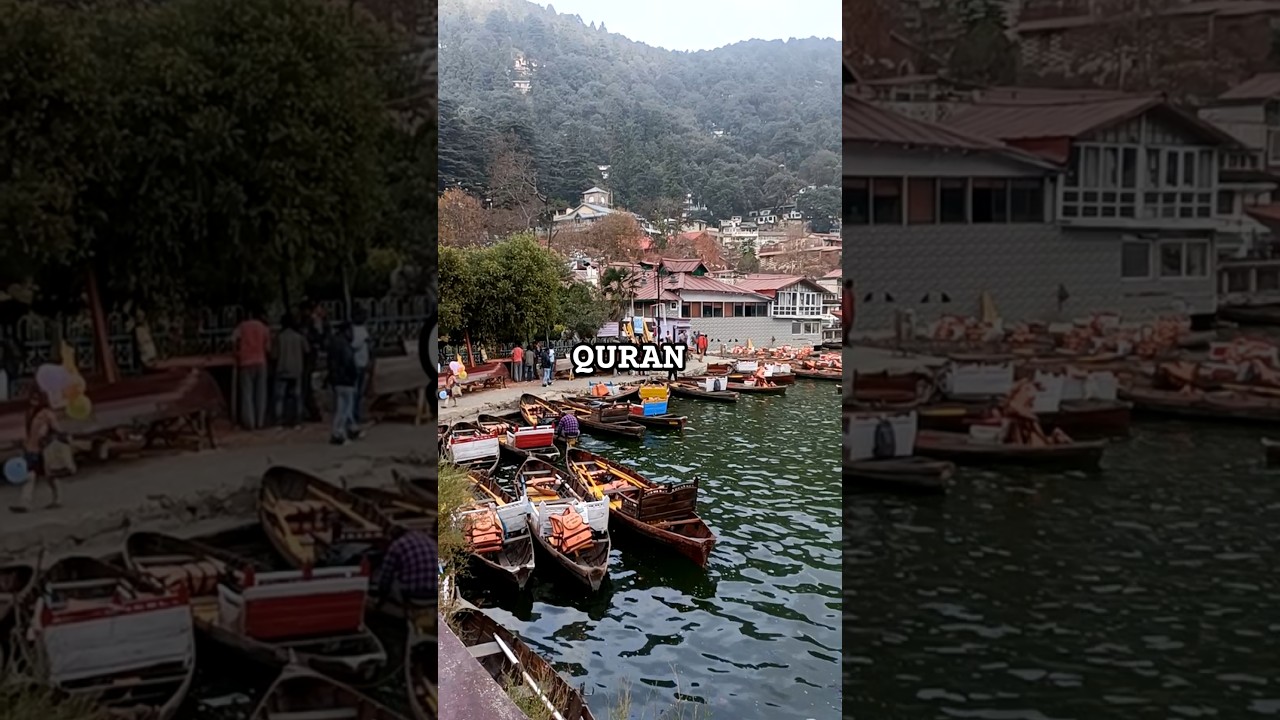 Quran #quran #shortsfeed #islamicquotes #allah #motivation #islamicshorts #ayat #islamicvideo