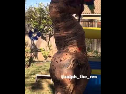 Trex Problems: Pinata