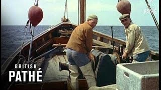Science In Fishing (1958)