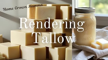 How To Render And Purify Odorless White Tallow Using The Wet Method