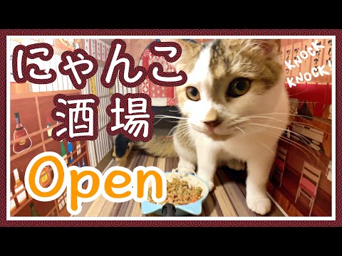 【ASMR】にゃんこ酒場オープン！猫の咀嚼音が可愛い。