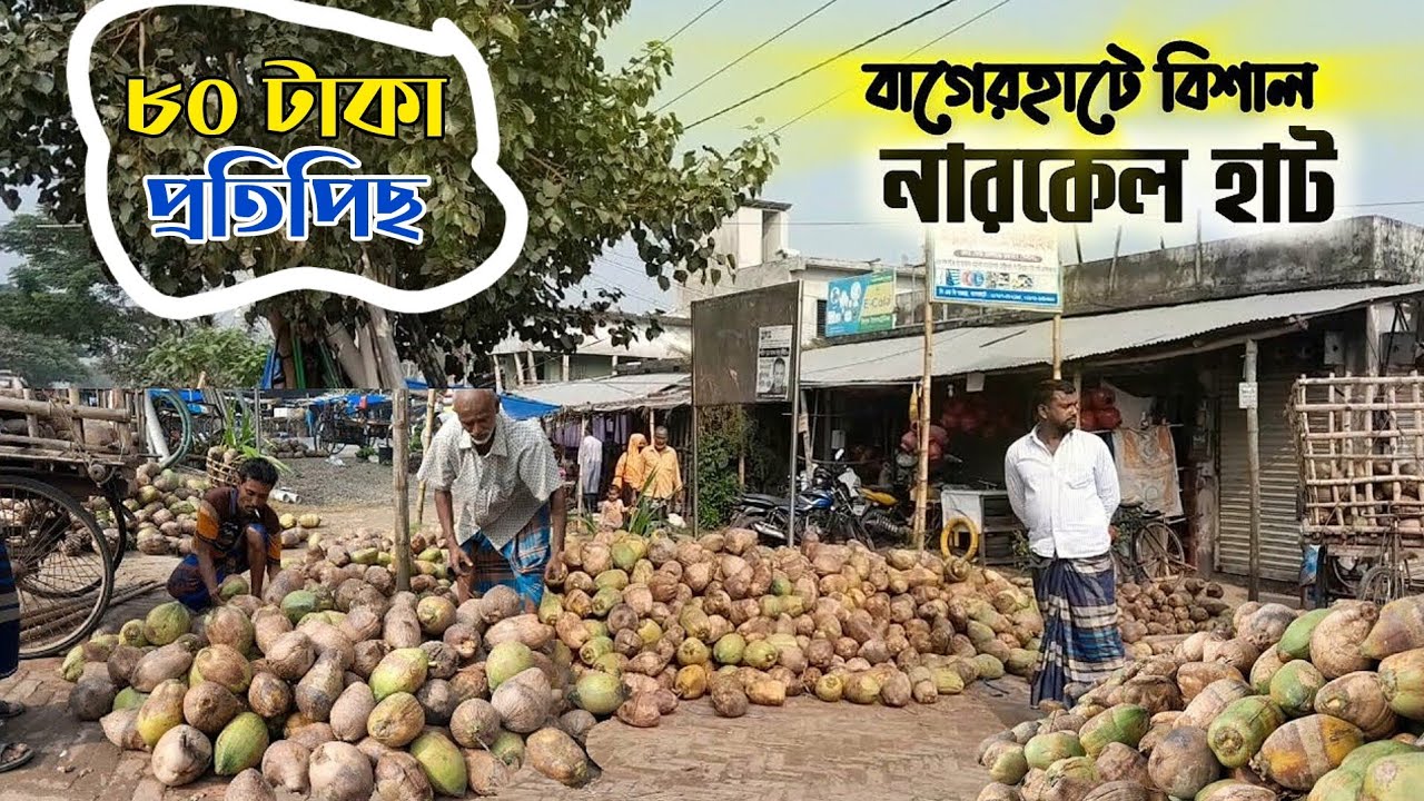 নারিকেলের পাইকারি বাজার | ৮০ টাকা পিছ নারকেল | Latest update-28/11/24 | পাইকার- 01733185612(সুমন)