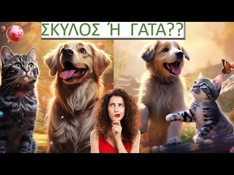 Βίντεο: Πώς να απαλλαγείτε από Matted μαλλιά σε ένα σκυλί