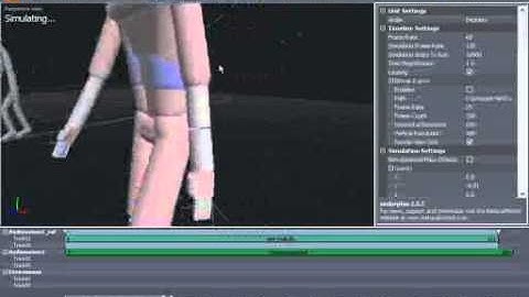 Endorphin Tutorial   Using Motion Transfer    14