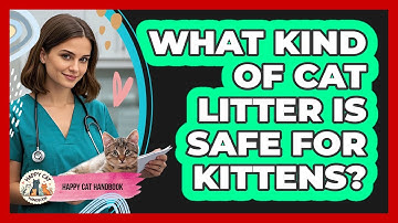 What Kind Of Cat Litter Is Safe For Kittens?
