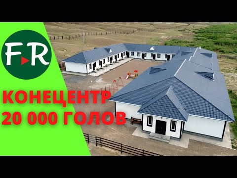 Вот это Конецентр! 20 000 голов лошадей! СуперБыт табунщиков. Предприятие Алаколь-Агро. Казахстан