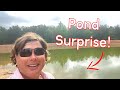You wont believe what i found in the pond