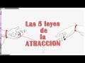 Las 5 Leyes de la ATRACCIÓN | por PSicoVlog