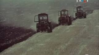 Agricultura de odinioara (Epoca de Aur) Cooperativa Agricola De Productie (C.A.P)