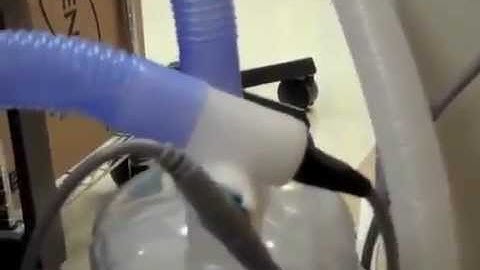 Maquet Servo i Ventilator