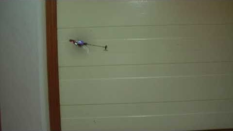 4 Channel 4CH Picooz : Pico Lights Test Flight Part 3 - Belly View