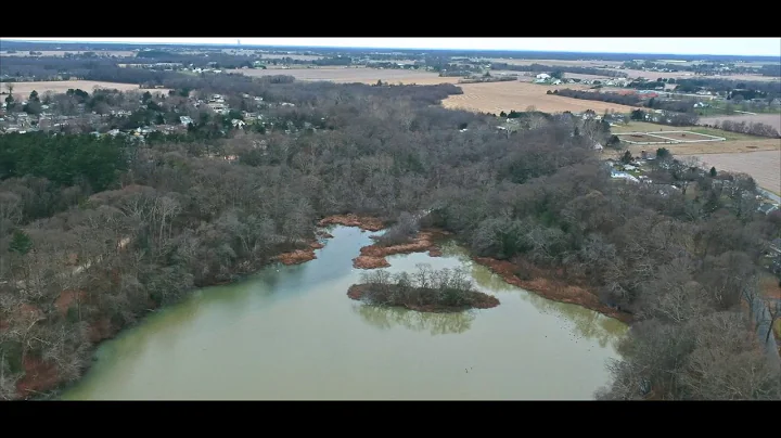 MARY ELMER LAKE In Upper Deerfield, New Jersey