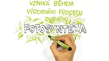 Co se týká biologické olympiády?