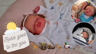 Going To The Zoo With Reborn Baby Rosie + Morning Routine | Sophia’s Reborns