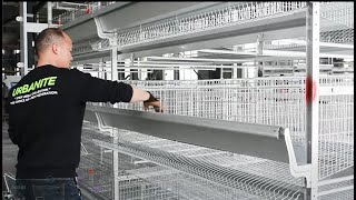 A Few Minutes to Teach You How to Install Automatic HFrame Layer Battery Chicken Cage System