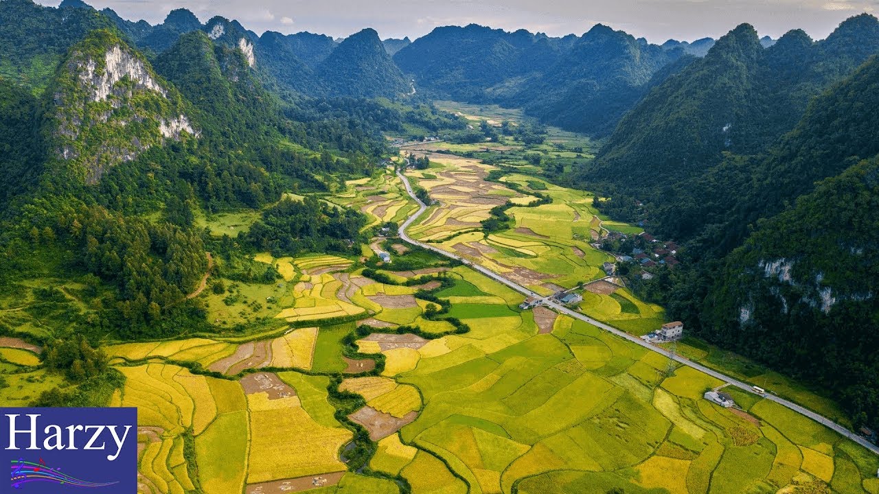 Fred Eddy - Vietnam [1 Hour Version]