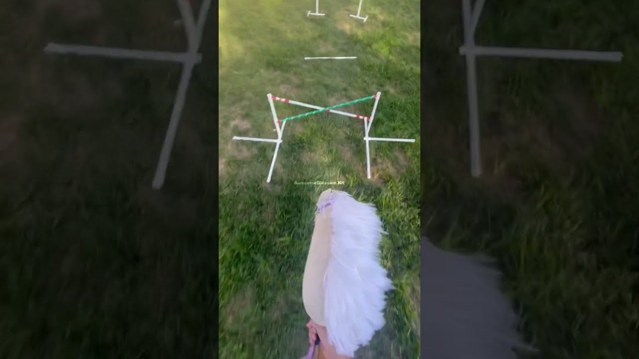 Raw Of My Fail Horse Hobbyhorseedit Trending Equestrain Fypp Hobbyhorsing Hobbyhorse