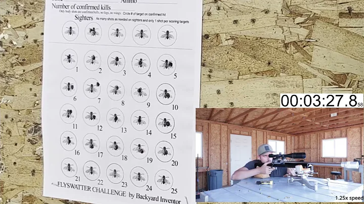 Fly Swatting Challenge - 2500x