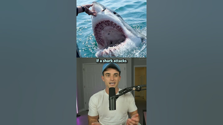 How To Survive Animal Attacks