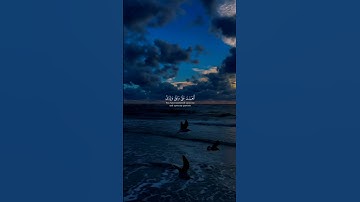 قران كريم ﴿ فَتَبَسَّمَ ضاحكا من قَوْلِهَا وَقالَ رَبِّ أَوْزِعْنِي .....﴾ القارئ احمد العجمي