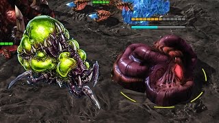 13/12 Baneling Zerg vs Zerg Build Order [StarCraft 2: Legacy of the Void]