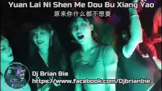 Yuan Lai Ni Shen Me Dou Bu Xiang Yao 原来你什么都不想要 Remix By Dj Brian Bie Hot Tiktok Remix