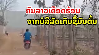 ຄົນລາວເດືອດຮ້ອນ ຈາກບໍລິສັດເກັບຊື້ມັນຕົ້ນ