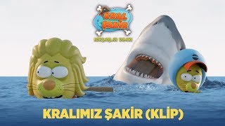 Kral Şakir “Korsanlar Diyarı” - Kralımız Şakir (Klip) screenshot 2