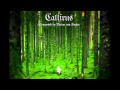 Celtic Music - Callirus