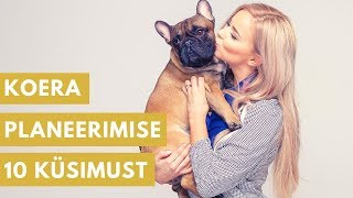 Lemmikute Lemmik 1. osa. Millele mõelda, enne kui võtad koera?