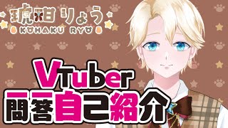 「【自己紹介】Vtuber一問一答自己紹介【新人Vtuber/琥珀りょう】」のサムネイル