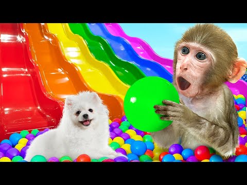 KiKi Monkey jump into Ball Pit Pool from Waterslide & make Miniature Rainbow Jelly 